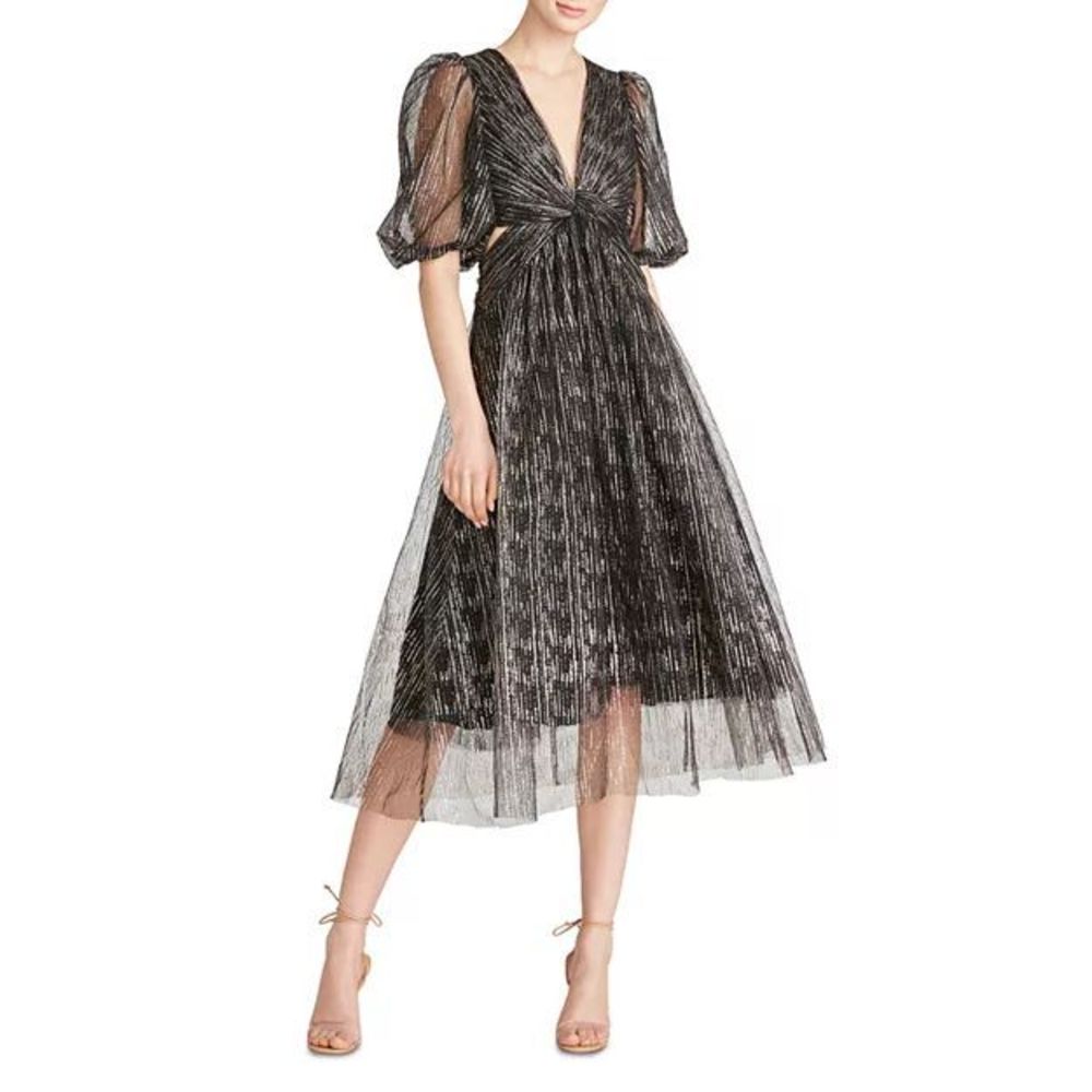 Elegant Black Sheer Dress